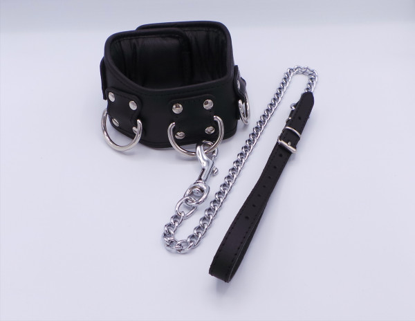 Halsband mit Führungsleine
